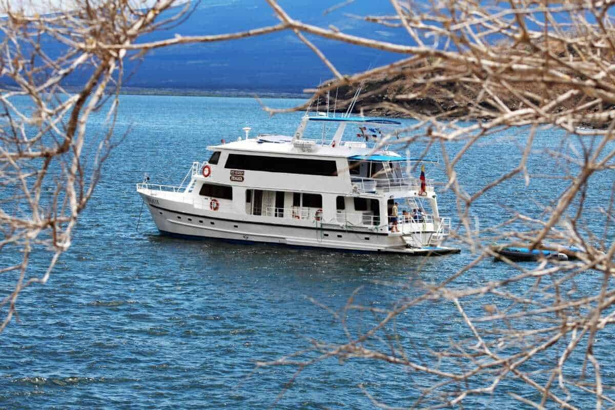 galapagos-cruises-class-superior