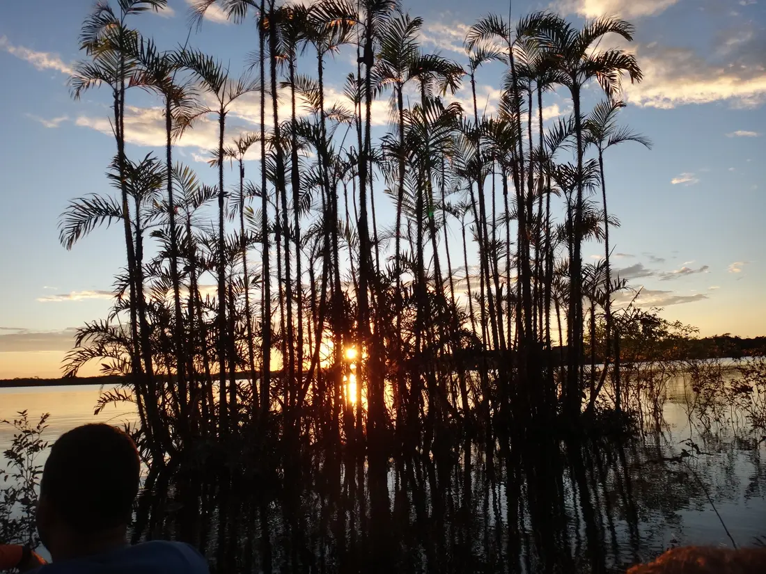 Zonsondergang in Cuyabeno